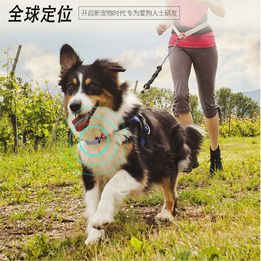 Smart Pet Positioning Anti-lost Device Waterproof Anti-lost Pet GPS Collar Pet Gps Locator Tracker