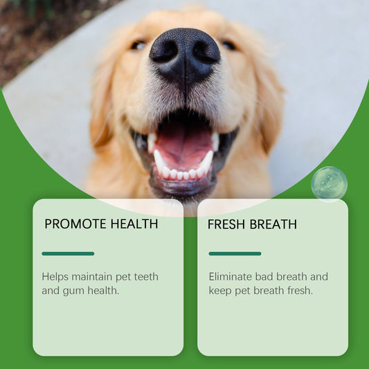 Yegbong Dog Teeth Cleaning Powder Gently Clean Pet Teeth Improves Tartar Yellow Fresh Breath